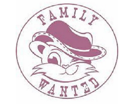 Collecte « Family Wanted » par les élèves de 6F